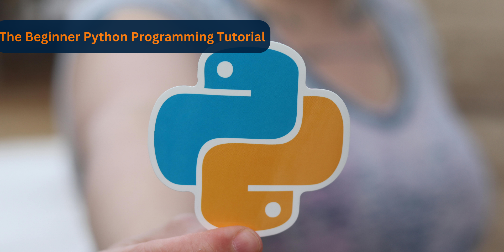 Read more about the article The Beginner Python Programming Tutorial: How to Start!